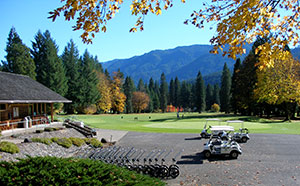 tokatee-golf-course-by-larry-moran